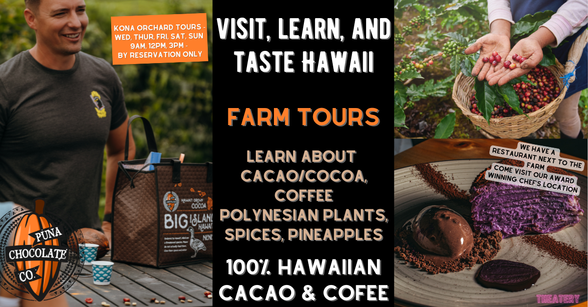 cocoa chocolate farm tours
