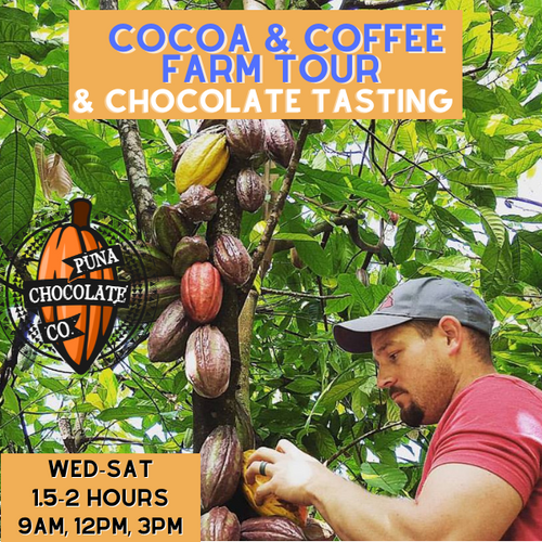 Kona Cacao + Coffee Orchards Tour & Chocolate Tasting (Ages 6 and up) Wed, Thurs, Fri, Sat - 9am, 12pm, 3pm for 2 hours