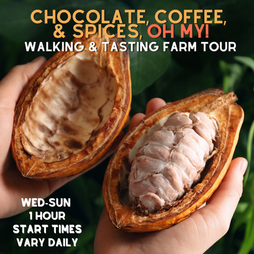 "Chocolate, Coffee & Spice, Oh My!" Farm Walk and Chocolate Tasting - 1 hour - Sun, Wed, Thurs, Fri, Sat