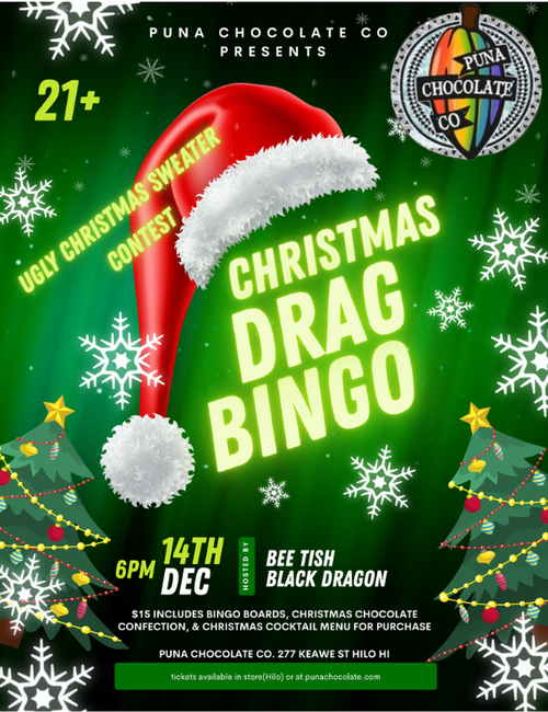 Sunday Christmas Drag Bingo
