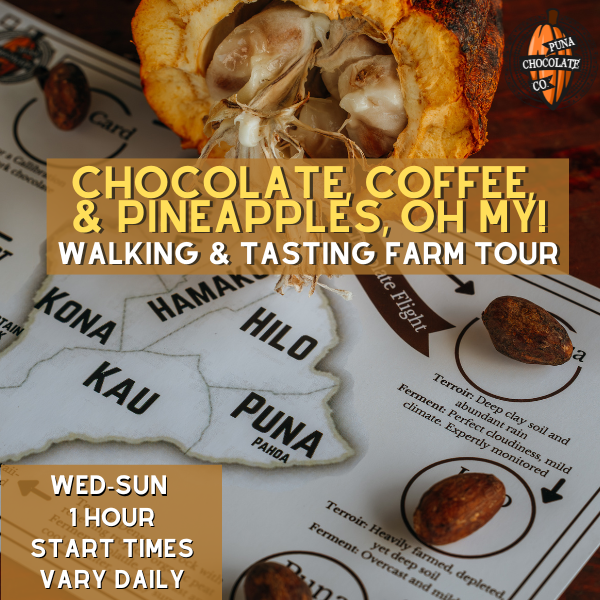 Chocolate, Coffee Farm Walk and Chocolate Tasting - 1 hour - Sun, Wed, Thurs, Fri, Sa