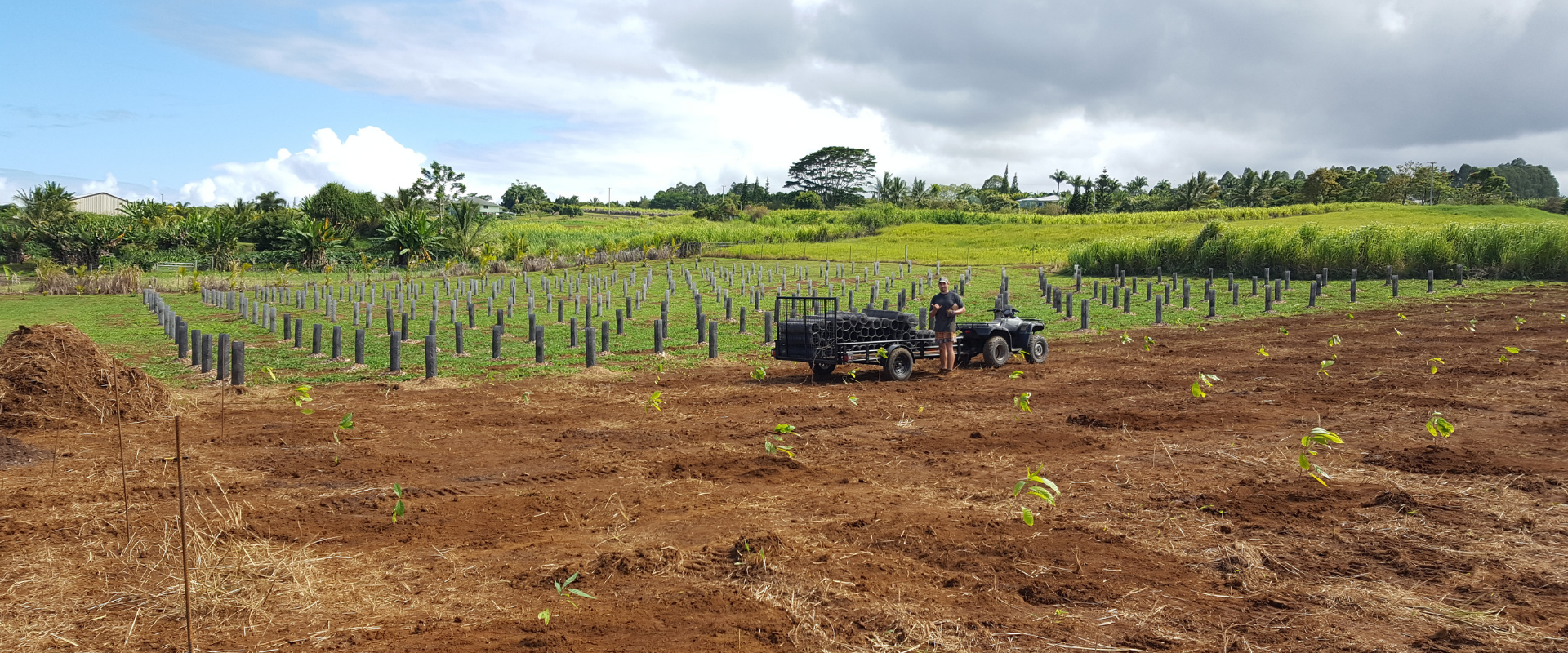 Puna Chocolate Hawaiian Cacao