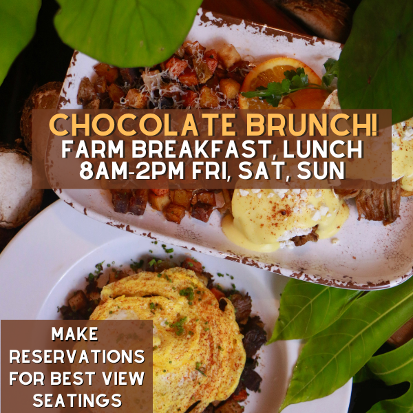 Chocolate Brunch at the Theatery Restaurant Reservation